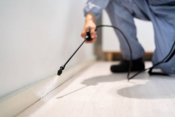 Licensed Termite Control service in Beebe, AR - Nex Pest Control