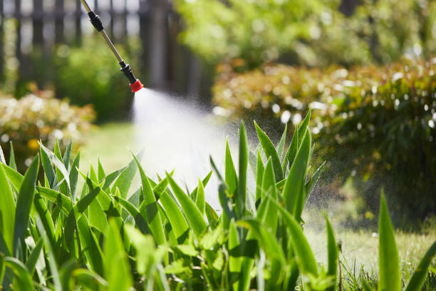 24/7 Emergency Termite Control experts in Beebe, AR