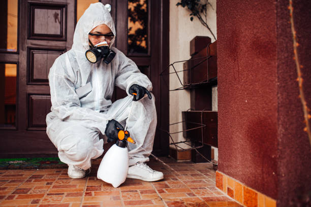 Reliable Termite Control contractor in Beebe, AR by Nex Pest Control